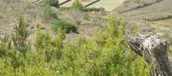 Земельный участок в Бенисса, Испания № 96479 5