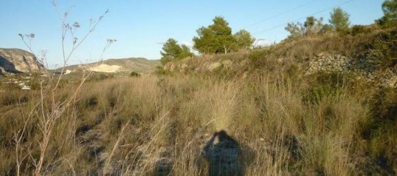 Земельный участок в Бенисса, Испания № 96479 14