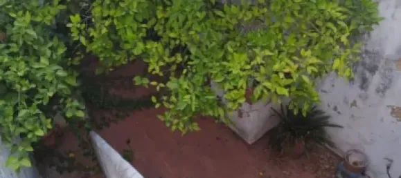 8 bedrooms House in Arcos de la Frontera, Spain No. 100067 15