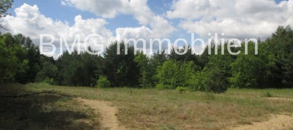 Apartamento de 1 dormitorio en Frohnau, Germany No. 81278 17