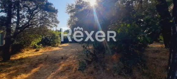 Casa de 3 dormitorios en Pedara, Italy No. 312349 11