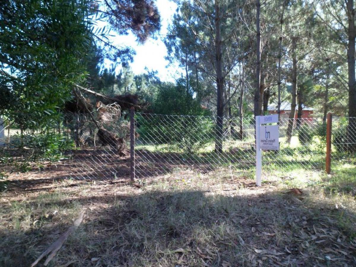 Земельный участок в Мар-дель-Плата, Аргентина № 116505