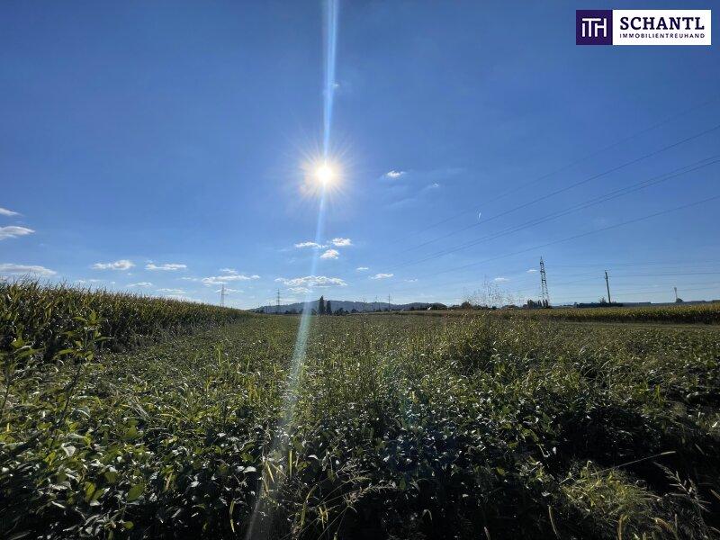 Земельный участок в Гралла, Австрия № 203770