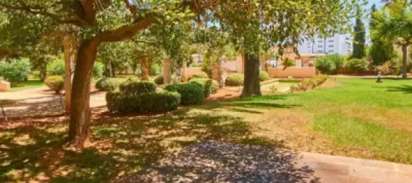 3 bedrooms Apartment in Son Servera, Spain No. 172157 29