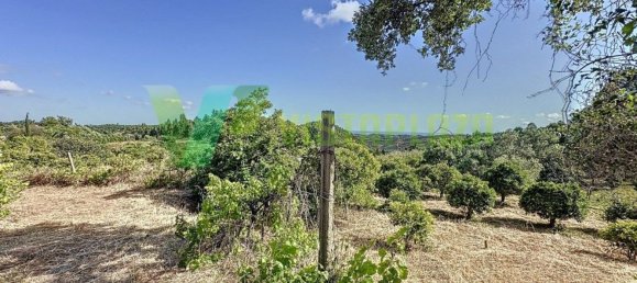 3 غرف نوم منزل في Monchique, Portugal رقم 82550 7