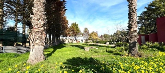 Вилла с 3 спальнями в Мезанье, Италия № 61128 19