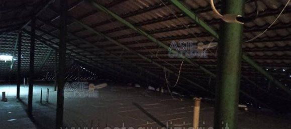 Studio in Tortoreto, Italy No. 260268 4