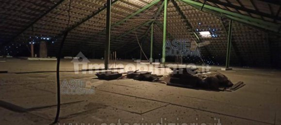 Studio in Tortoreto, Italy No. 260268 6