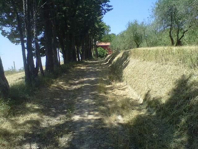 Casa de 10 habitaciónes en Peccioli, Italy No. 91837