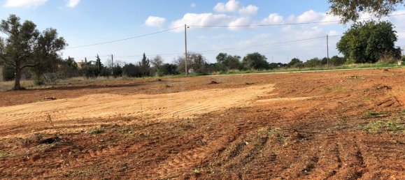 Земельный участок 3031м² в Алмансил, Португалия № 146007 4