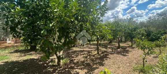 2 chambres Maison à Sassari, Italy No. 300031 22