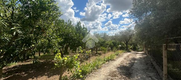 2 chambres Maison à Sassari, Italy No. 300031 3