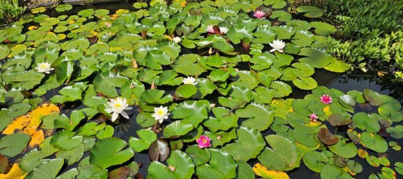 Вилла с 7 комнатами в Грац, Австрия № 222766 23