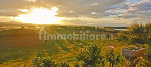 6 bedrooms Villa in Castiglione del Lago, Italy No. 156295 5