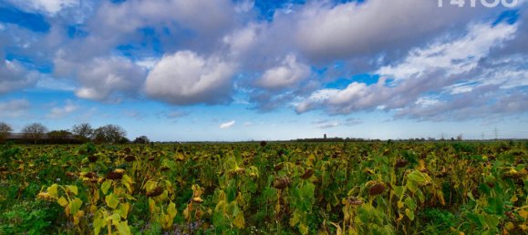 2 bedrooms Farm in Viersen, Germany No. 7729 28