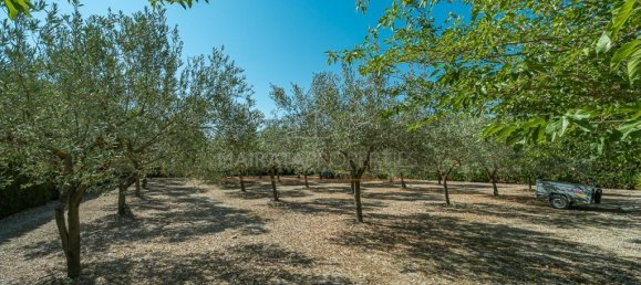  Castillos de 4 dormitorios en Sineu, Spain No. 41568 27