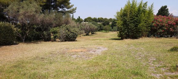 Land in Sanary-sur-Mer, France No. 220344 3