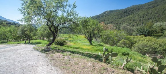 Casa T4 em Gaucin, Spain N.º 76961 24