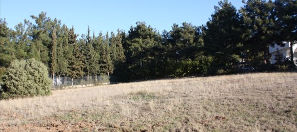 5500m² Hotel in Pylaia, Greece No. 5884 6