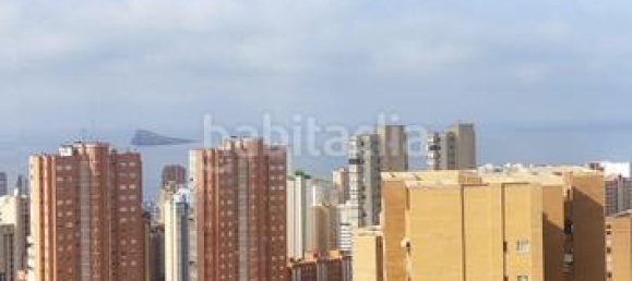 4 chambres Appartement à Benidorm, Spain No. 82538 2