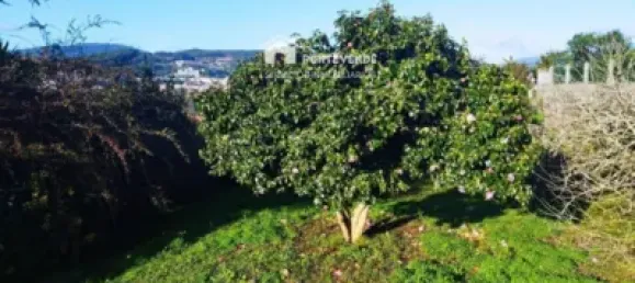 6 bedrooms House in Pontevedra, Spain No. 140512 26