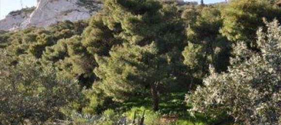 7 غرف نوم فيلا في Athens, Greece رقم 6974 5