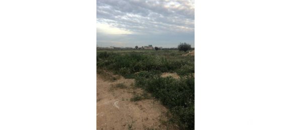  Land in Catral, Spain No. 94312 6