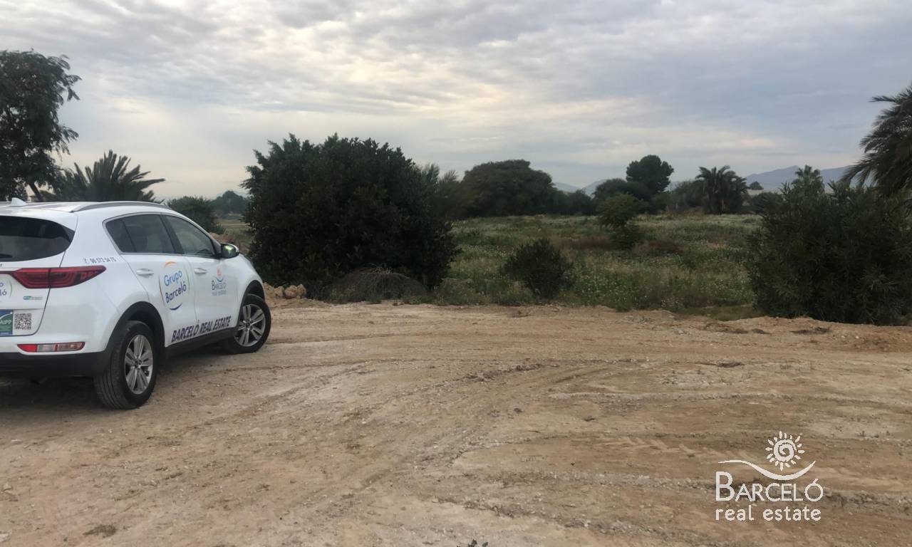  Land in Catral, Spain No. 94312