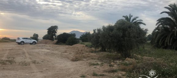  Land in Catral, Spain No. 94312 2