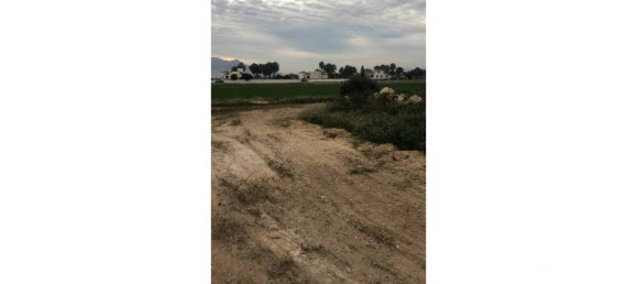  Land in Catral, Spain No. 94312 5