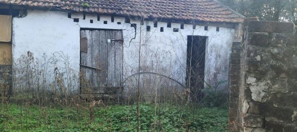 3 bedrooms House in Alcobaca, Portugal No. 33116 12