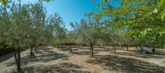 Casa de 4 dormitorios en Sineu, Spain No. 41573 16
