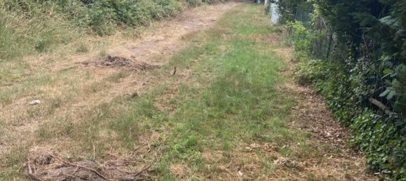 Land in Offenbach, Germany No. 217869 4