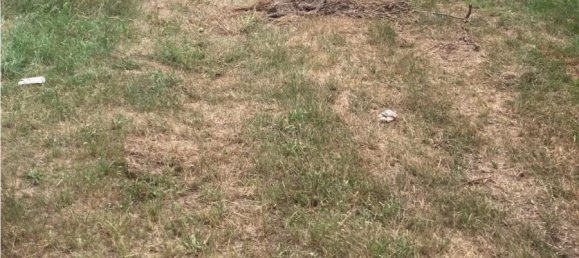 Land in Offenbach, Germany No. 217869 5