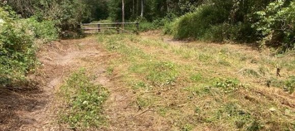 Land in Offenbach, Germany No. 217869 3