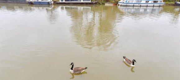 2 bedrooms Apartment in Hackney, United Kingdom No. 4032 19