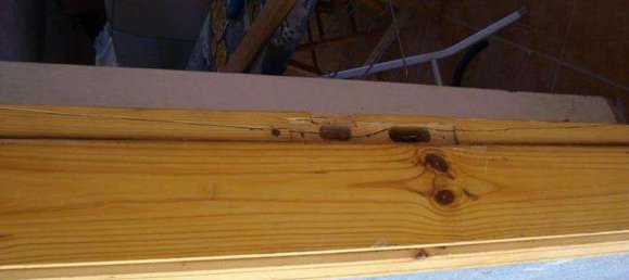 Estúdio em Fiumefreddo Bruzio, Italy N.º 182530 45