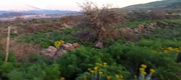 قطعة أرض في Bronte, Italy 40056متر مربع رقم 328035 5