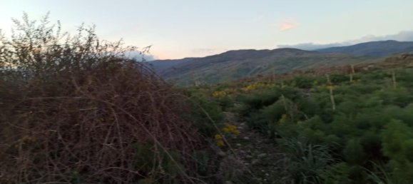 قطعة أرض في Bronte, Italy 40056متر مربع رقم 328035 2