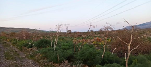 قطعة أرض في Bronte, Italy 40056متر مربع رقم 328035 4