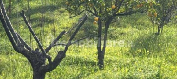 3 bedrooms Apartment in Praia a Mare, Italy No. 209293 14