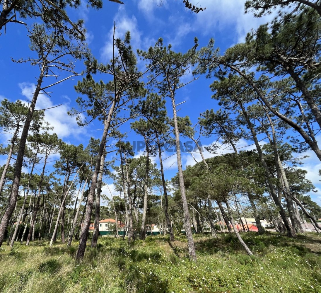 Terreno em Colares, Portugal N.º 347289