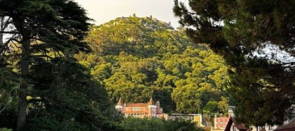 Gewerbliche Immobilie in Sintra, Portugal 104m², Nr. 268995 9