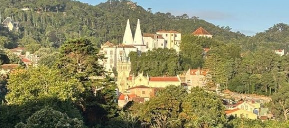 Gewerbliche Immobilie in Sintra, Portugal 104m², Nr. 268995 3