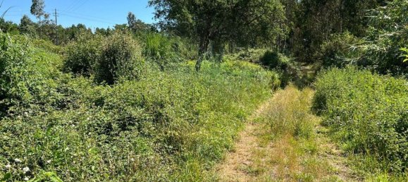 3450m² Land in Povoa de Varzim, Portugal No. 59038 5