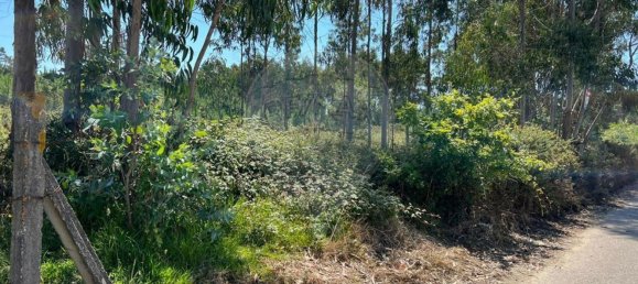 3450m² Land in Povoa de Varzim, Portugal No. 59038 4