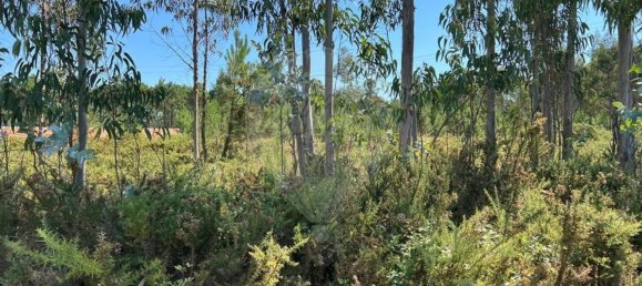 3450m² Land in Povoa de Varzim, Portugal No. 59038 2