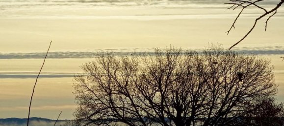  Land in L'Isle-Jourdain, France No. 113093 11