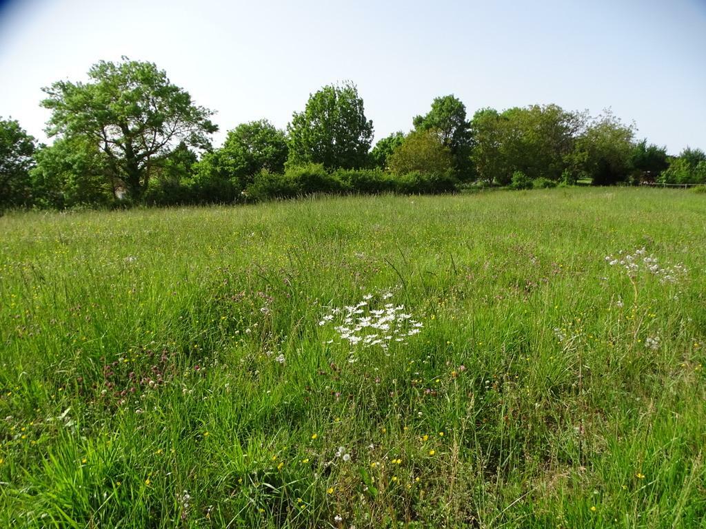  Land in L'Isle-Jourdain, France No. 113093