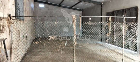 4 bedrooms House in Santarem, Portugal No. 289789 6